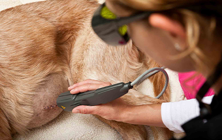 Laser Therapy